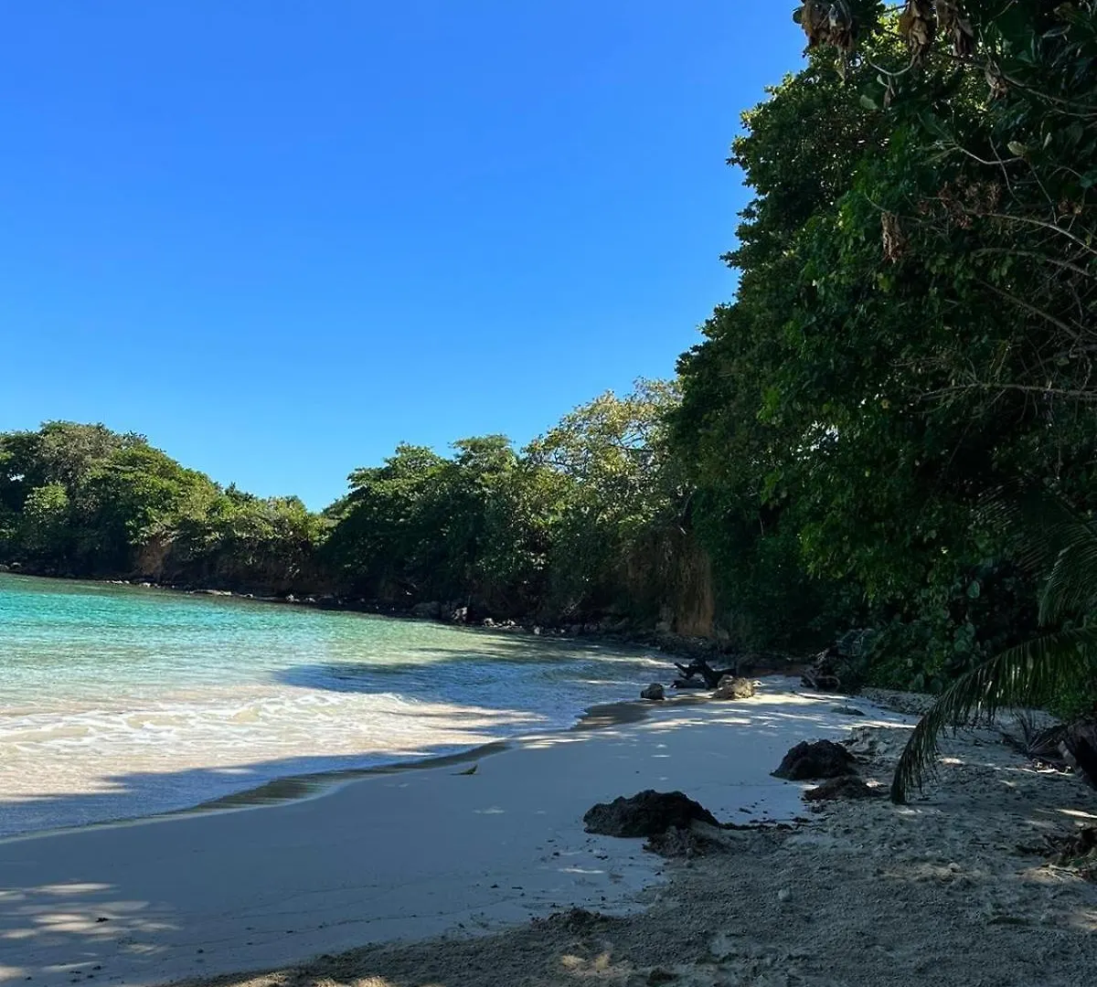 Boston Bay, Portland Cozy Corner Villa Port Antonio Holiday home